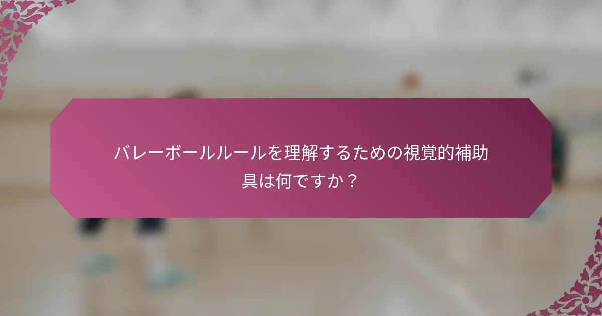 バレーボールルールを理解するための視覚的補助具は何ですか？